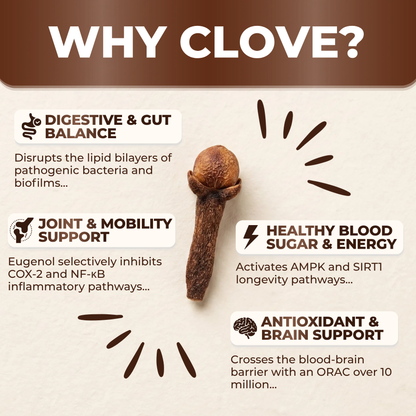 BioLabs™ PureClove Supplement